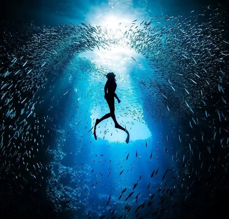 Scuba diver preparing beside the sea near Portland